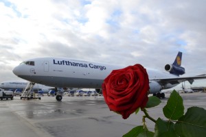 Lufthansa Cargo St, Valentines day