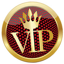 VIP Plesure Cruises
