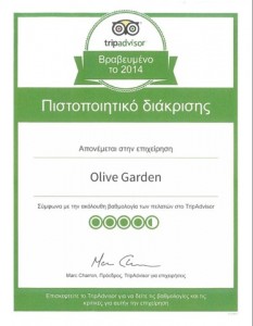 tripadvisor certificate