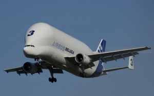 Airbus_Beluga