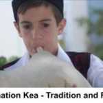 Destination-Kea-Tradition-and-Feasts-272×181