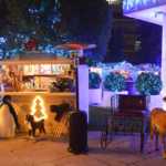 Christmas Village