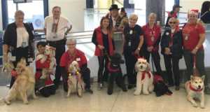 LAX's popular PUPs therapy dogs
