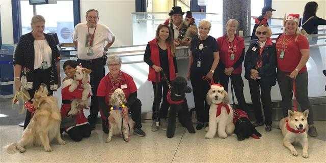 LAX's popular PUPs therapy dogs