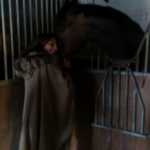 Pirgos vasilissis 12-1-2018-5