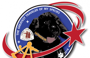 Space Tail: Legendary Dog to Leave his Mark on another Epic Journey