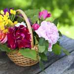 quelles_fleurs_choisir_pour_quelqu_un_qu_on_aime_670