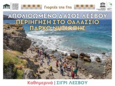 ΚΑΘΗΜΕΡΙΝΑ ΔΡΟΜΟΛΟΓΙΑ ΣΤΟ ΘΑΛΑΣΣΙΟ ΠΑΡΚΟ ΑΠΟΛΙΘΩΜΕΝΟΥ ΔΑΣΟΥΣ ΝΗΣΙΩΠΗΣ