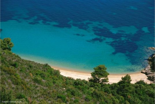 Ξεκίνησαν οι δράσεις του EOT για τη στήριξη και προβολή της Χαλκιδικής στις διεθνείς αγορές