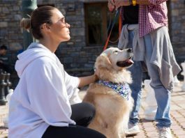 Το Dog Weekend επιστρέφει για 3η χρονιά στο Elatos Resort & Health Club στις 15-17 Νοεμβρίου!