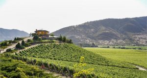 World’s Biggest Conference on Wine Tourism Celebrates: Rural Transformation and Jobs