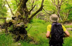 Μαίναλο Trail