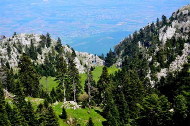 Ελάτη Τρικάλων Πεζοπορικη Εξόρμηση Δεκέμβριος 2020