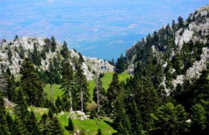 Ελάτη Τρικάλων Πεζοπορικη Εξόρμηση Δεκέμβριος 2020