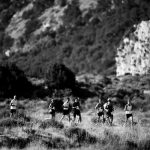 1_Run Messinia_photo by Navarino Challenge
