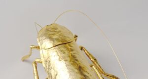 Ο Χώρος Τέχνης της Πολιτιστικής Εταιρείας Σαρωνικού ΠΟΛΥΤΡΟΠΟΝ παρουσιάζει την ατομική έκθεση του Capten Cockroaches – Κατσαρίδες
