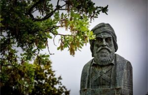 «Τα Δέντρα Μιλούν»: Πανελλήνιος μαθητικός διαγωνισμός για τα υπεραιωνόβια δέντρα της Πελοποννήσου
