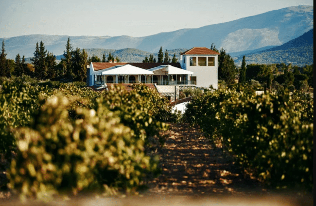 TRAVEL AND HOSPITALITY AWARDS Papagiannakos Winery Travelling News TRAVEL AND HOSPITALITY AWARDS Papagiannakos Winery Travelling News