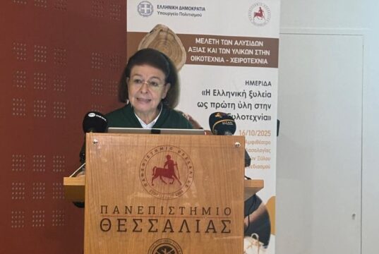 Λίνα Μενδώνη, από την Καρδίτσα: «Η ελληνική χειροτεχνία δεν είναι μουσειακό είδος. Είναι ζωντανό κύτταρο δημιουργίας, μοχλός ανάπτυξης της περιφέρειας»