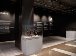 Το Υπουργείο Πολιτισμού, η Fraport Greece και το MOMUS παρουσιάζουν το MOMUS Air