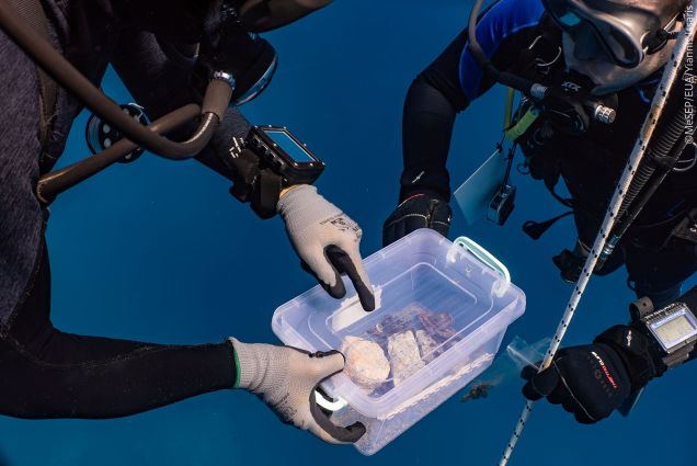 Εικ.. 13 Η μαρμάρινη διακοσμητική σταγόνα κατά χώραν και η ανέλκυσή της από ομάδα δυτών (φωτ. Γ. Ίσσαρης).