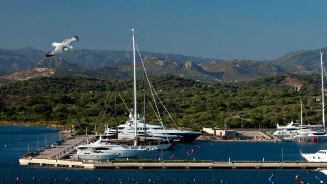 Olbia marina 1