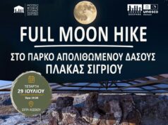 Αφίσα της νυχτερινής περιήγησης Full Moon Hike στο Πάρκο Απολιθωμένου Δάσους Πλάκας Σιγρίου στη Λέσβο.