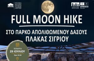 Αφίσα της νυχτερινής περιήγησης Full Moon Hike στο Πάρκο Απολιθωμένου Δάσους Πλάκας Σιγρίου στη Λέσβο.