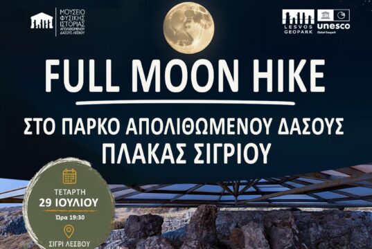 Αφίσα της νυχτερινής περιήγησης Full Moon Hike στο Πάρκο Απολιθωμένου Δάσους Πλάκας Σιγρίου στη Λέσβο.