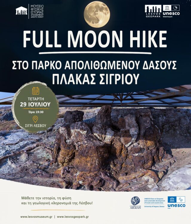 Αφίσα της νυχτερινής περιήγησης Full Moon Hike στο Πάρκο Απολιθωμένου Δάσους Πλάκας Σιγρίου στη Λέσβο.