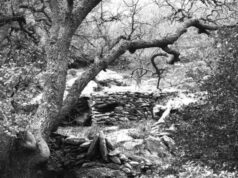 LITHOS – Η πέτρινη φορεσιά της Κέας