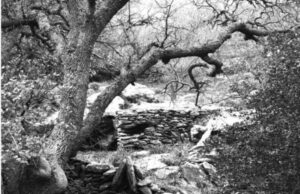 LITHOS – Η πέτρινη φορεσιά της Κέας