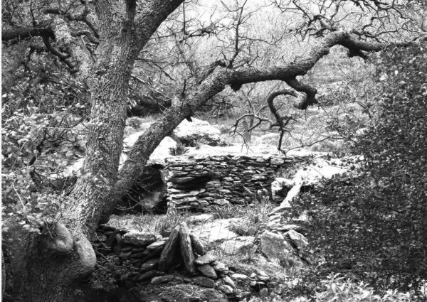 LITHOS – Η πέτρινη φορεσιά της Κέας