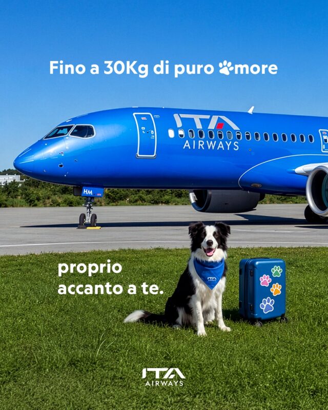 ITA Airways Large Dog On Board campaign image A border collie sitting on the grass beside an ITA Airways aircraft, promoting the Large Dog On Board service.