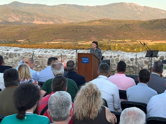 Η Λίνα Μενδώνη κατά την τελετή απόδοσης του μνημείου